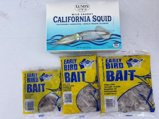 Squid frozen bait — Earlybird Bait Western Australia
