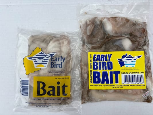 Octopus frozen bait — Earlybird Bait Western Australia