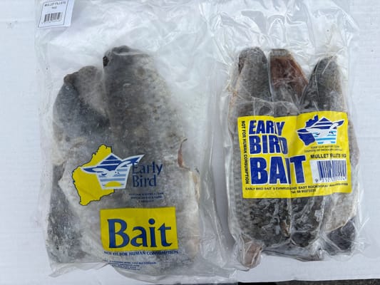 Mullet Fillets frozen bait — Earlybird Bait Western Australia